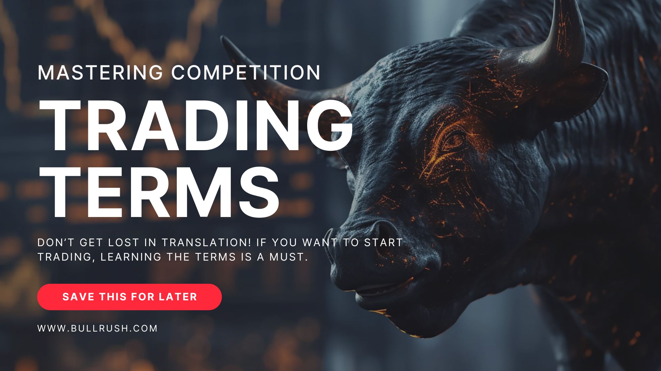 Picture of a bull with the blog title: Mastering Trading Terms for Competitions